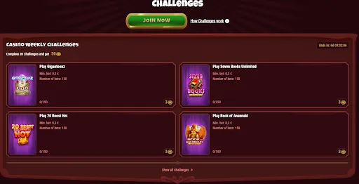 Magius Casino mobile experience